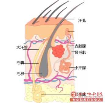 大連敖漢旗患上腋臭的病因有什么因素