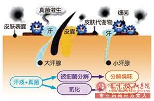 大連敖漢旗腋臭的四個判別標準